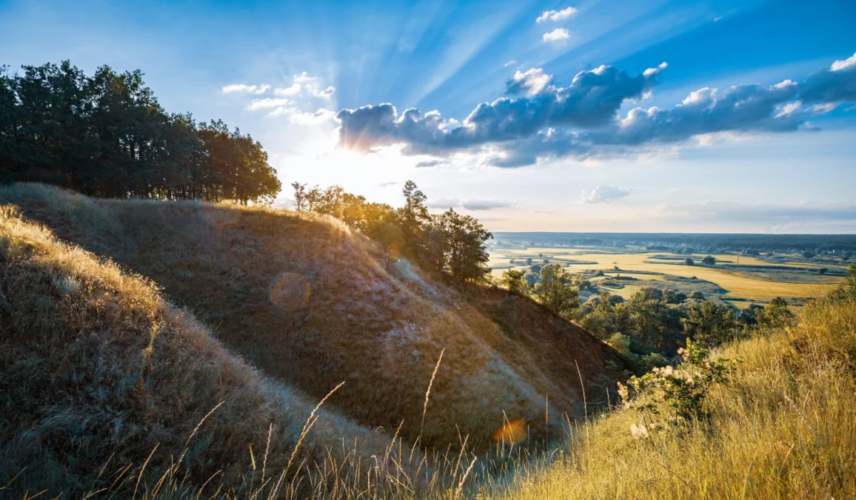 Architekt wnętrz: jak dobrać styl do życia—plan funkcji, światła i ergonomii. Zobacz checklistę, która ułatwia decyzje przed zakupem mebli.